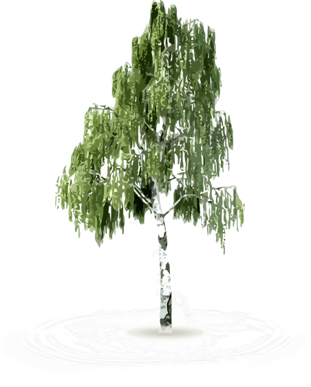tree